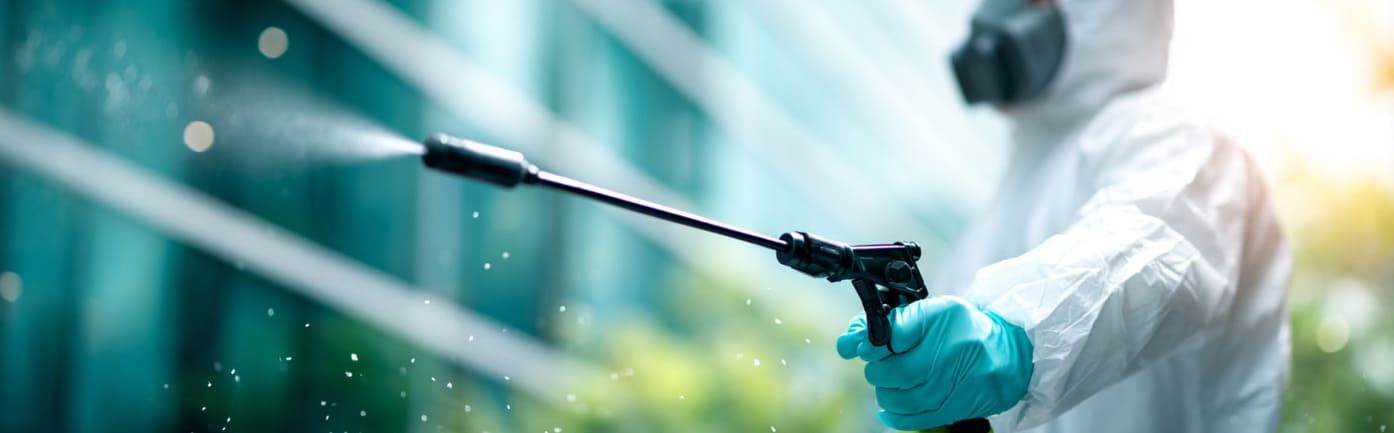 Servicios de fumigación en España para eliminar plagas en distintos espacios.