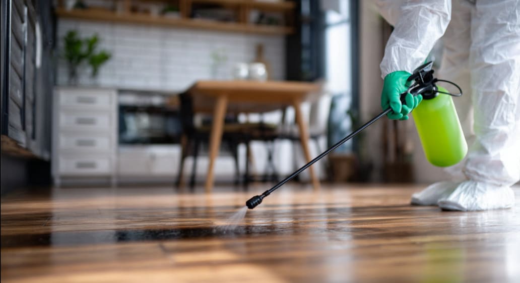 Empresa de fumigación en Lanzarote con tratamientos profesionales para el control de plagas.