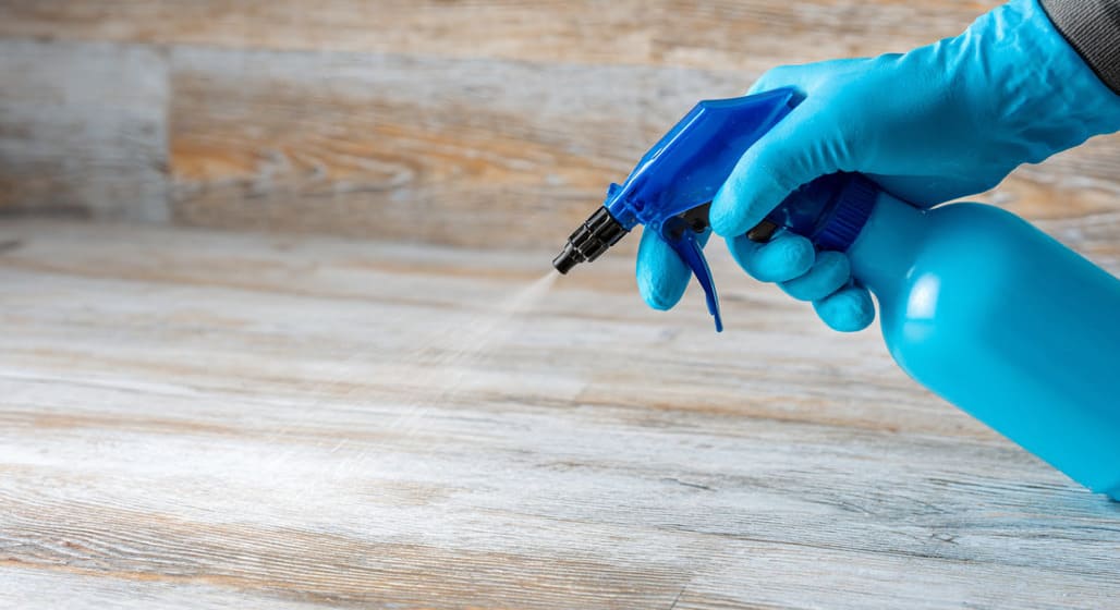 Técnicos eliminando chinches en Aranjuez