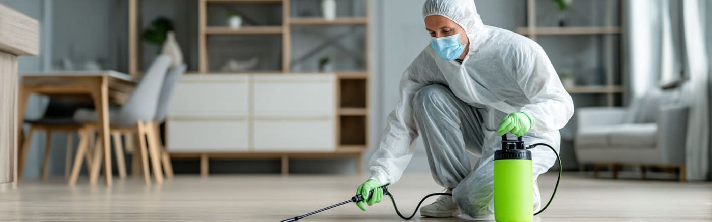 Técnicos fumigando chinches en España