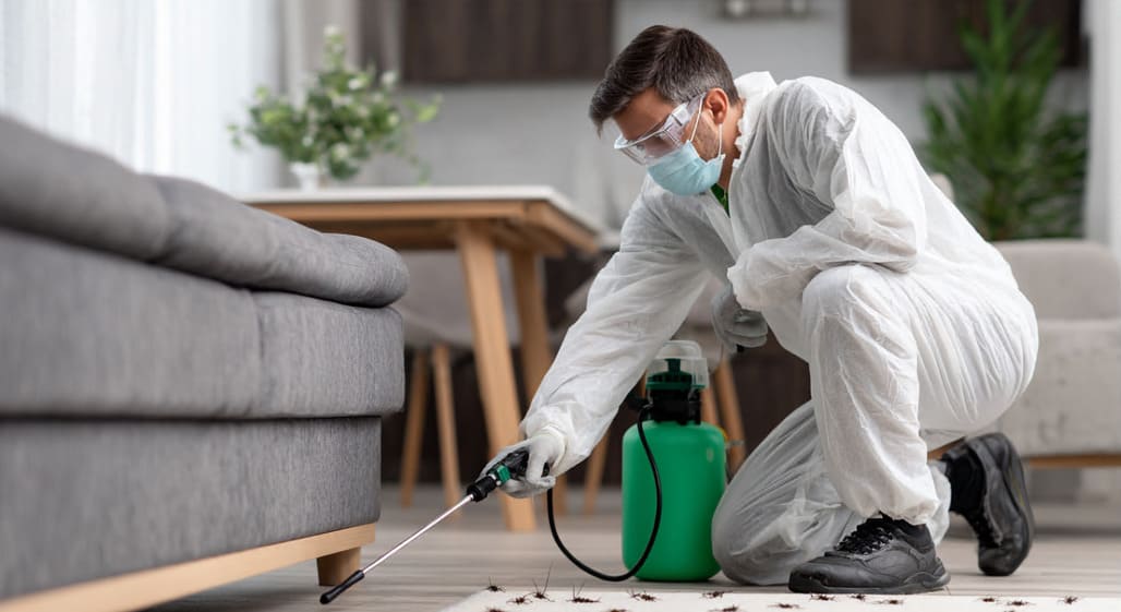 Técnicos fumigando cucarachas en Huelva