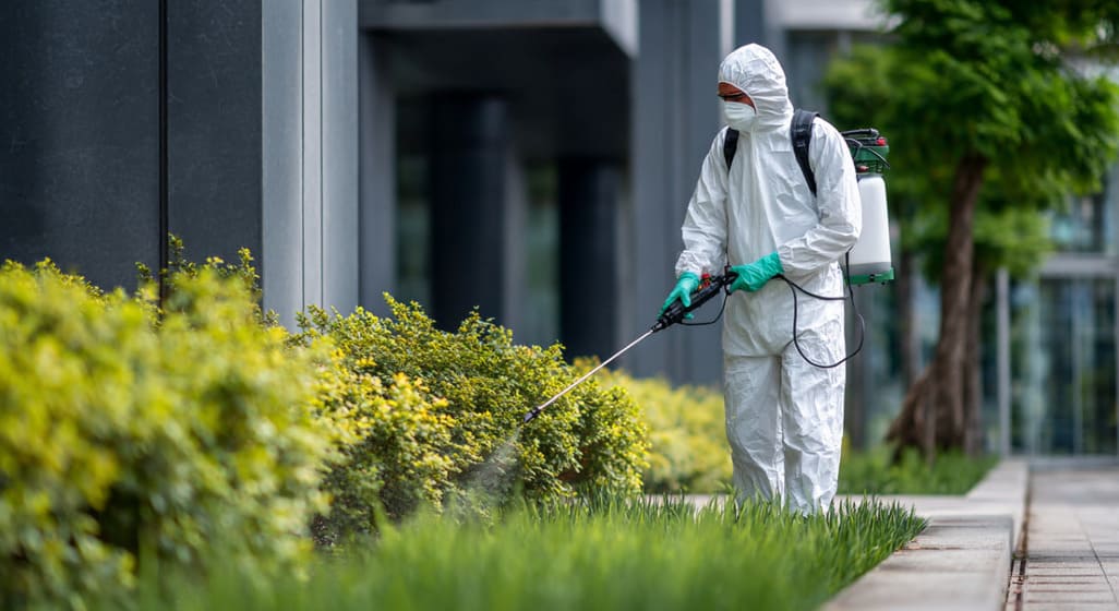 Servicio profesional de control de plagas de abejas en Barcelona